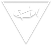 East Coast Angling
