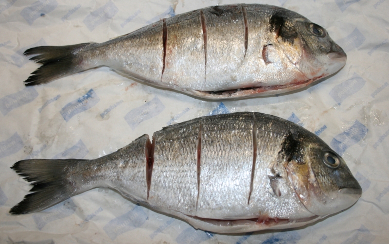 03 dorada al horno blog de fitness